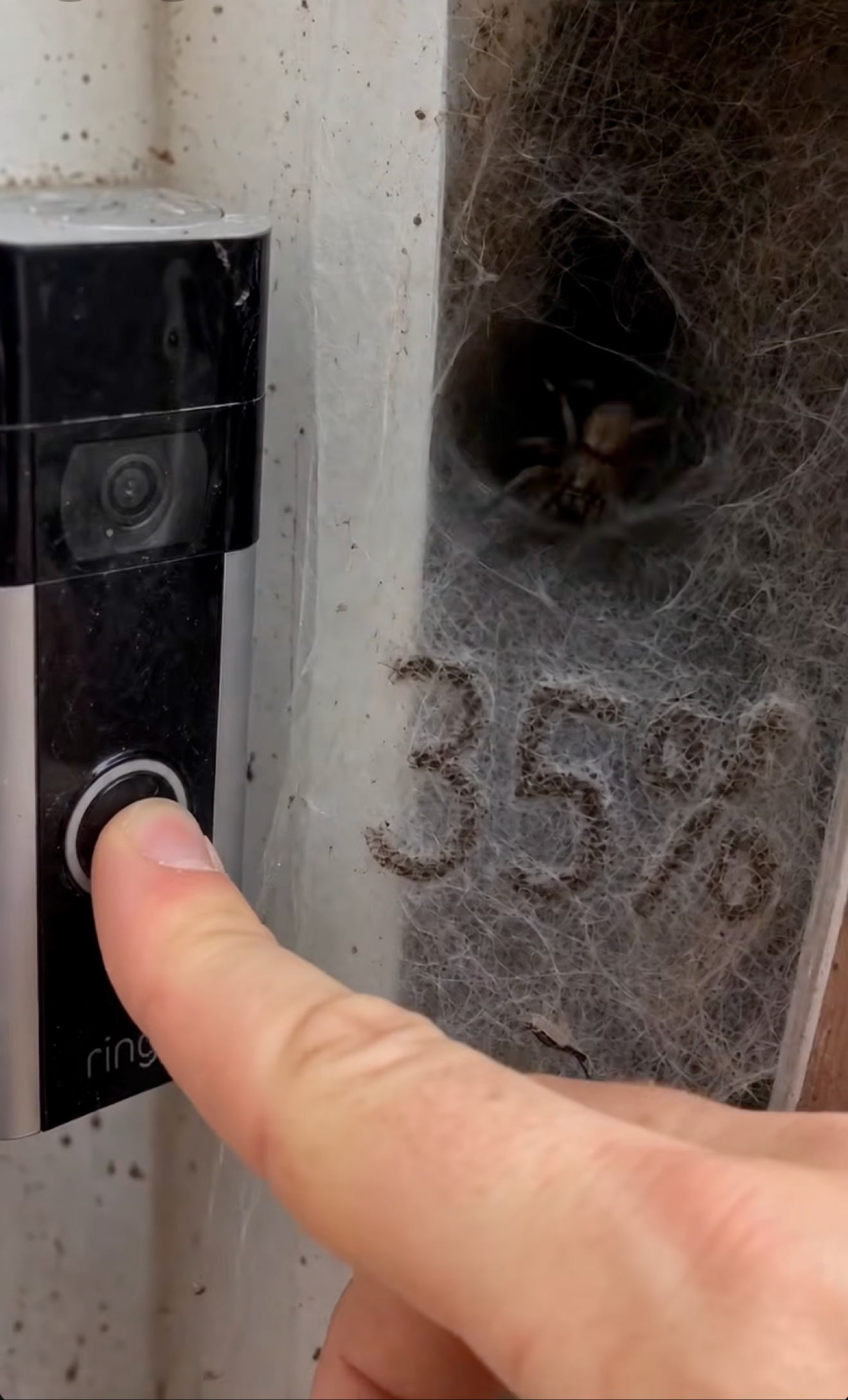 Spider web crafted into a 35 percent offer next to a smart doorbell