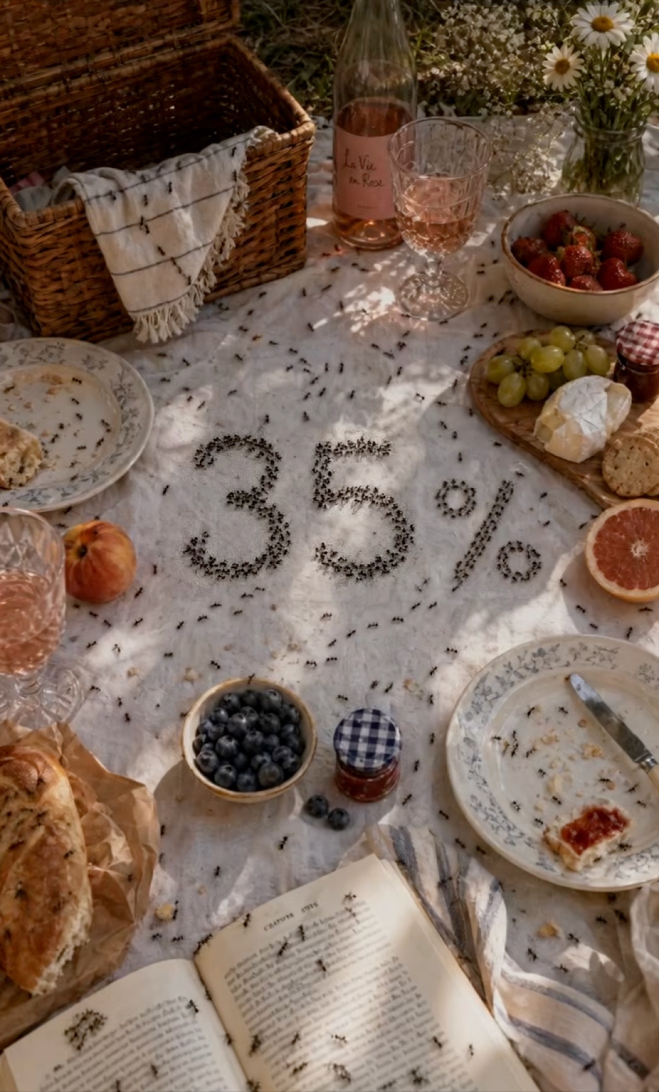 Ants forming a 35 percent offer on a picnic blanket